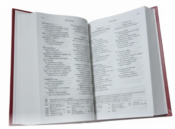 Bibeln – Swedish Folkbibeln (Medium Format, Red Hardcover)