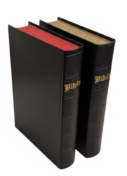 Swedish Holy Bible (Bibeln) – Medium Font – Premium Black Edition 13 * 19 cm