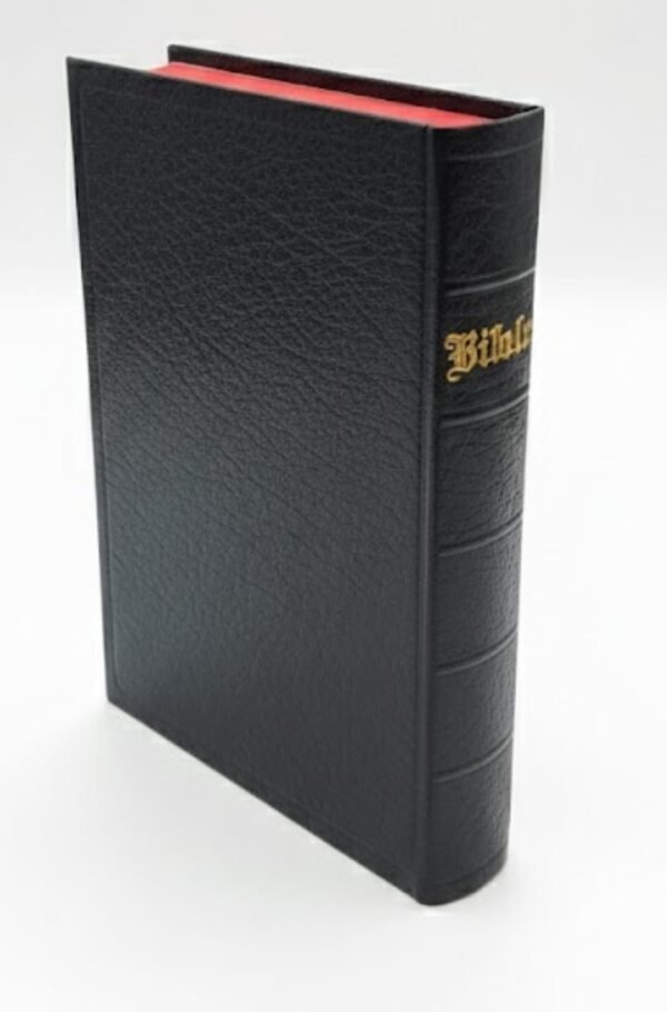 Swedish Holy Bible (Bibeln) – Medium Font – Premium Black Edition 13 * 19 cm