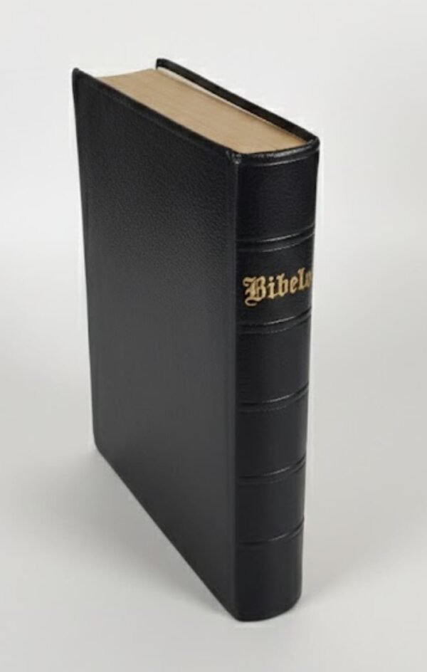 Swedish Holy Bible (Bibeln) – Medium Font – Premium Black Edition 13 * 19 cm