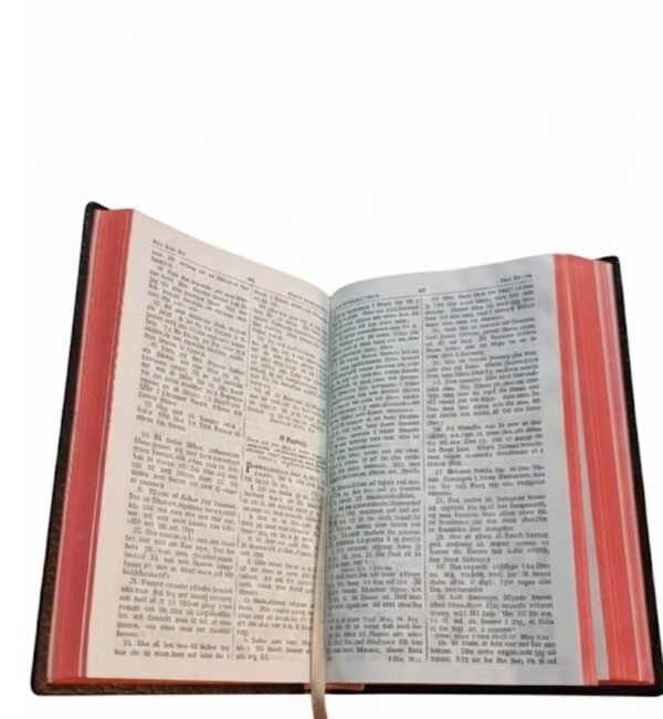 Swedish Holy Bible (Bibeln) – Medium Font – Premium Black Edition 13 * 19 cm